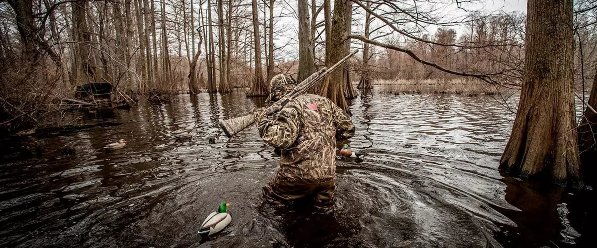 Navigating Duck Hunting on Private Lakes and Ponds in Texas