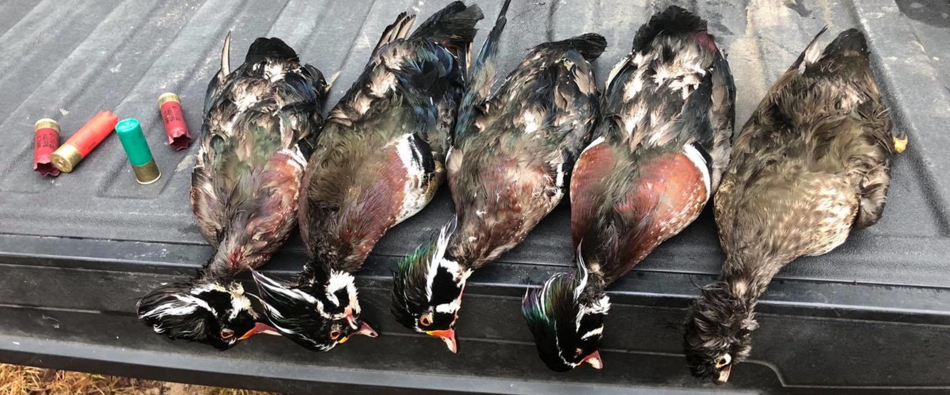 Understanding the Penalties for Hunting Ducks Over Bait in Texas