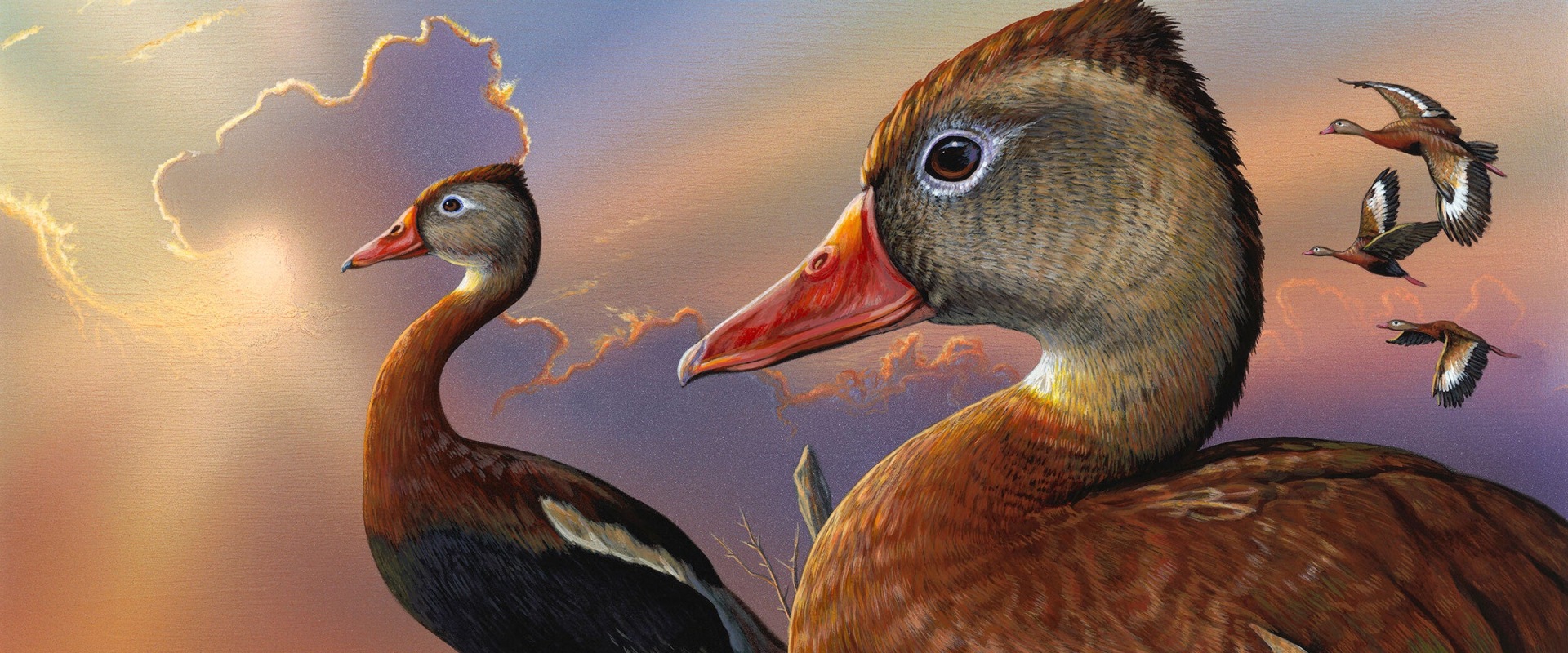 Navigating the Process of Obtaining a Federal Duck Stamp in Texas for Enthusiastic Hunters