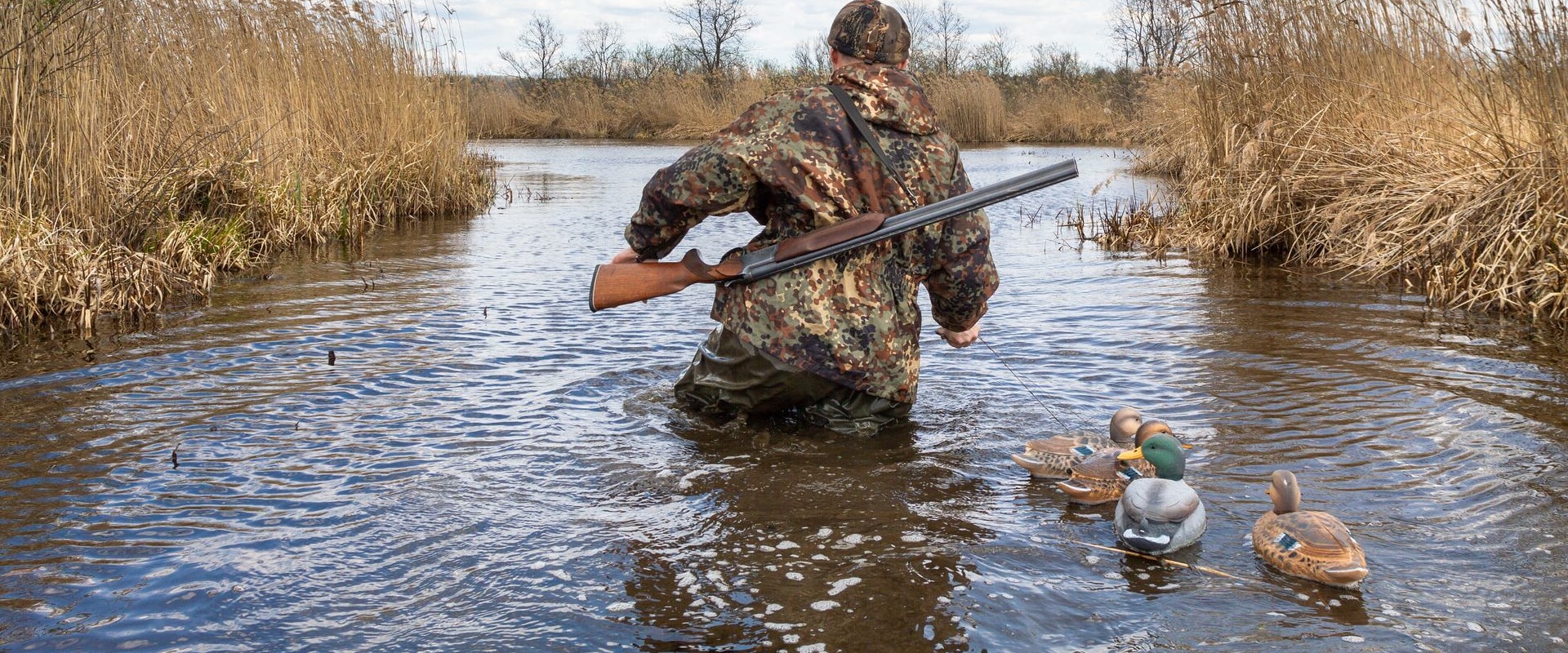 Understanding Duck Hunting Regulations for Non-Residents in Texas