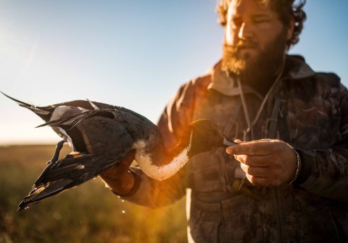 Essential Tips for Scouting Ducks in Texas