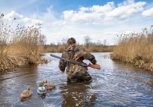 Understanding Duck Hunting Regulations for Non-Residents in Texas
