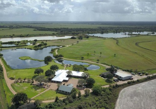 Top Duck Hunting Destinations in Texas: A Hunter's Guide