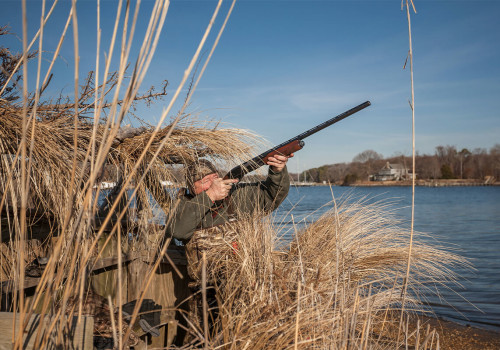Understanding Gun and Ammunition Regulations for Duck Hunting in Texas